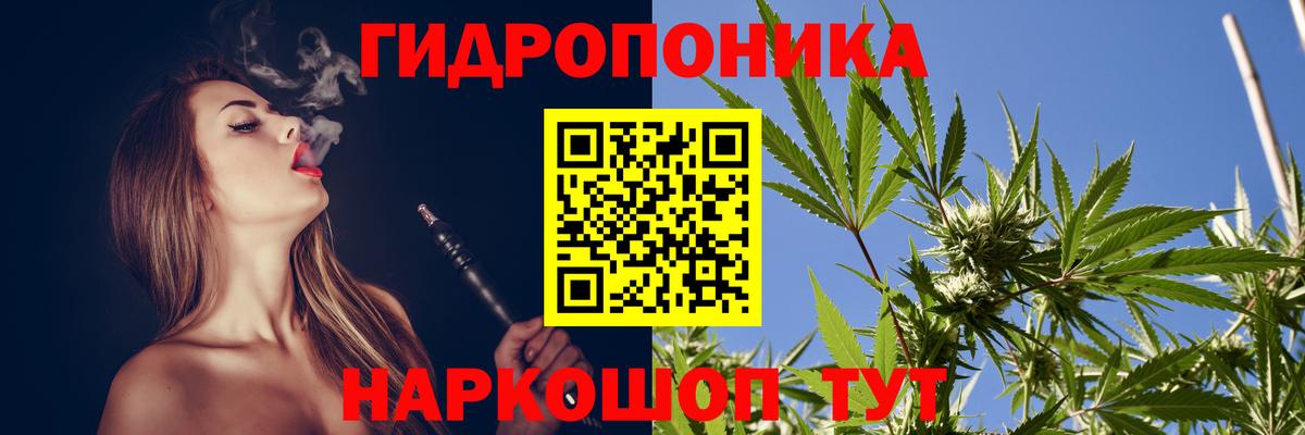 Шишки марихуана White Widow Ахтубинск